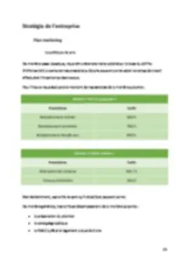 Business Plan Page 13